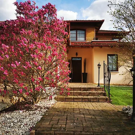 Apartman M3 Oasis *